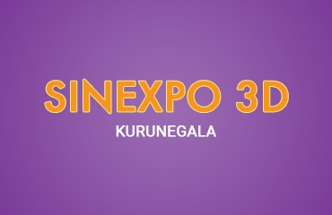 Sinexpo 3D